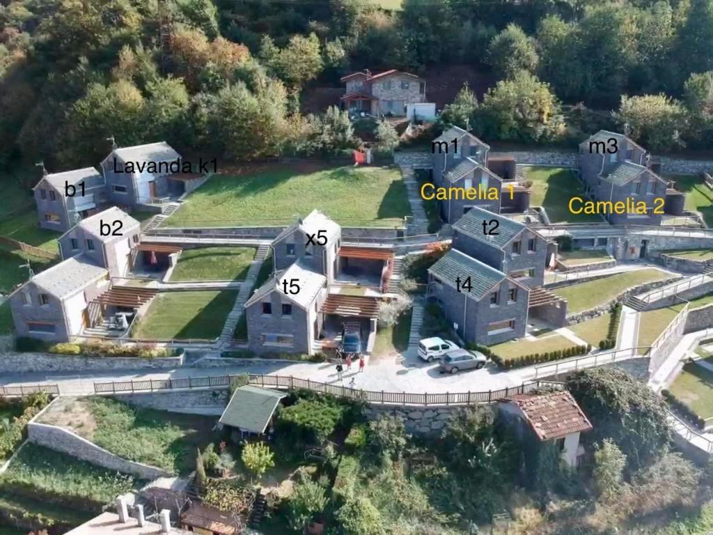 Paradiso Del Lago Bellano Exteriör bild